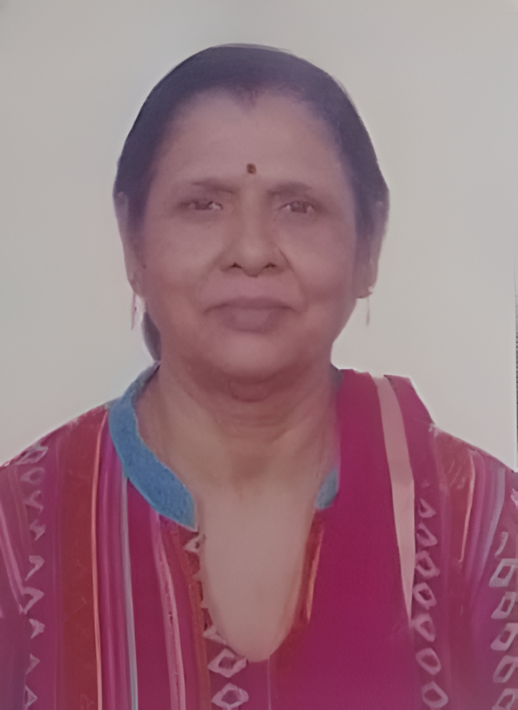 Mayur Vihar, New Delhi